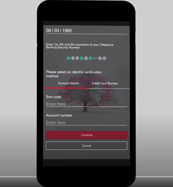 Esempio di inserimento password HSBC