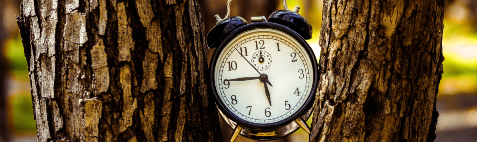 Come fornire il miglior supporto clienti in tempo reale nel 2025