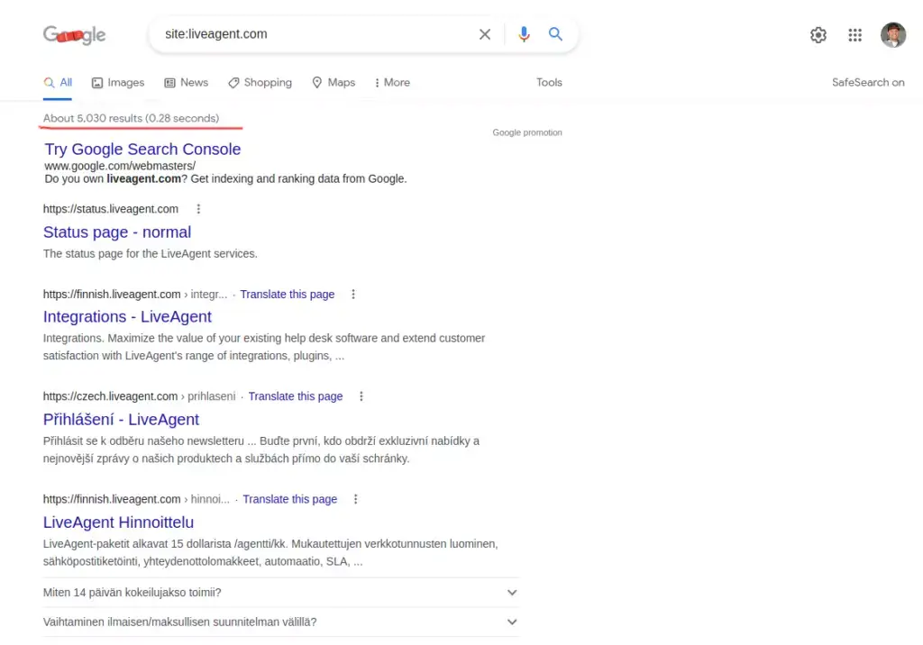 Identifica le pagine indicizzate da Google Search