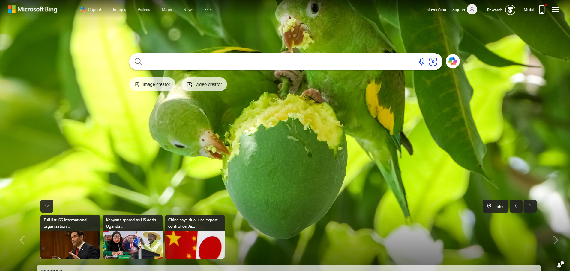 Contatti Help Desk Bing