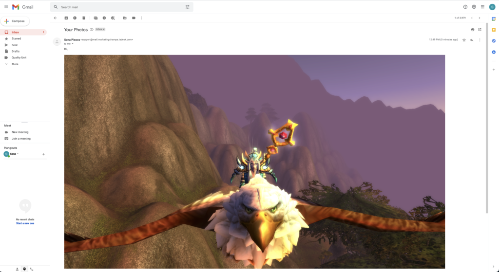 Esempio di immagine incollata incorporata in email