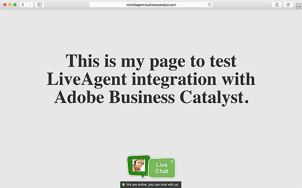 Integrazione LiveAgent Adobe Business Catalyst