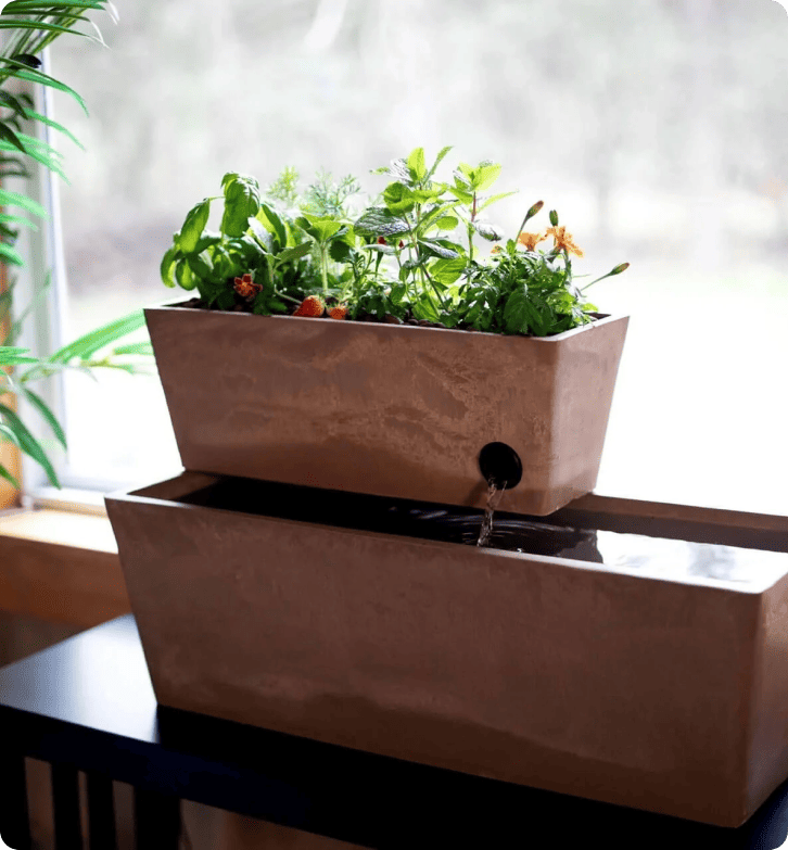 Come AquaSprouts raggiunge un tasso di soddisfazione dei clienti del 96,5% con LiveAgent